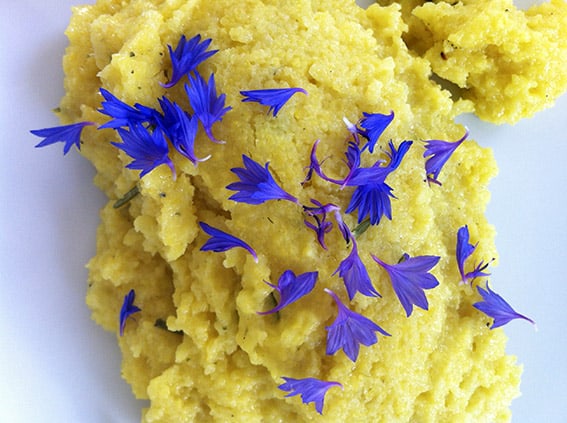 Cremige Vanille Polenta - learn. cook. eat.